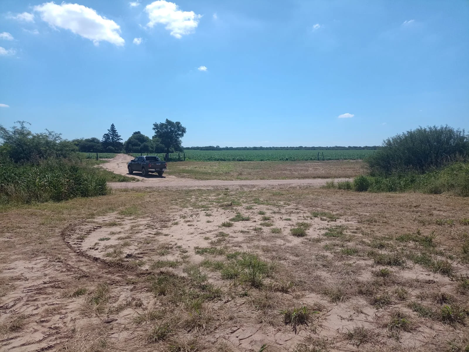 Campo productivo en Puesto de Sánchez con 197ha totales