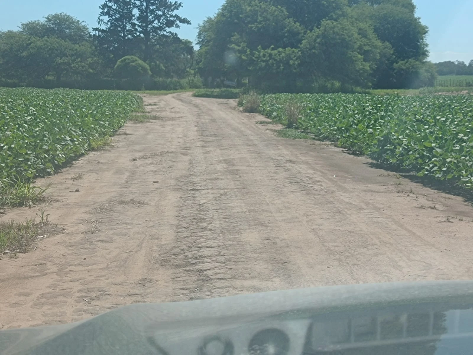 Campo productivo en Puesto de Sánchez con 197ha totales