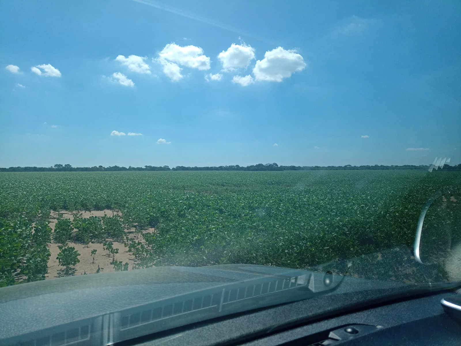 Campo productivo en Puesto de Sánchez con 197ha totales