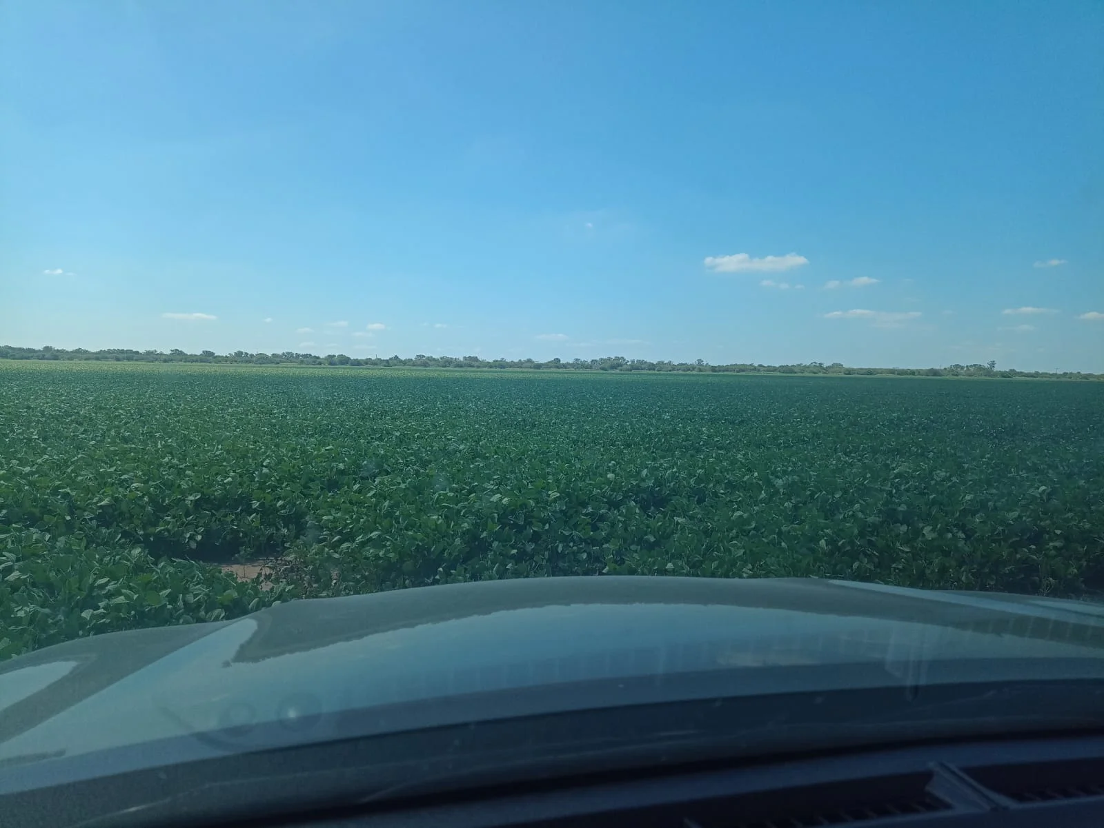 Campo productivo en Puesto de Sánchez con 197ha totales