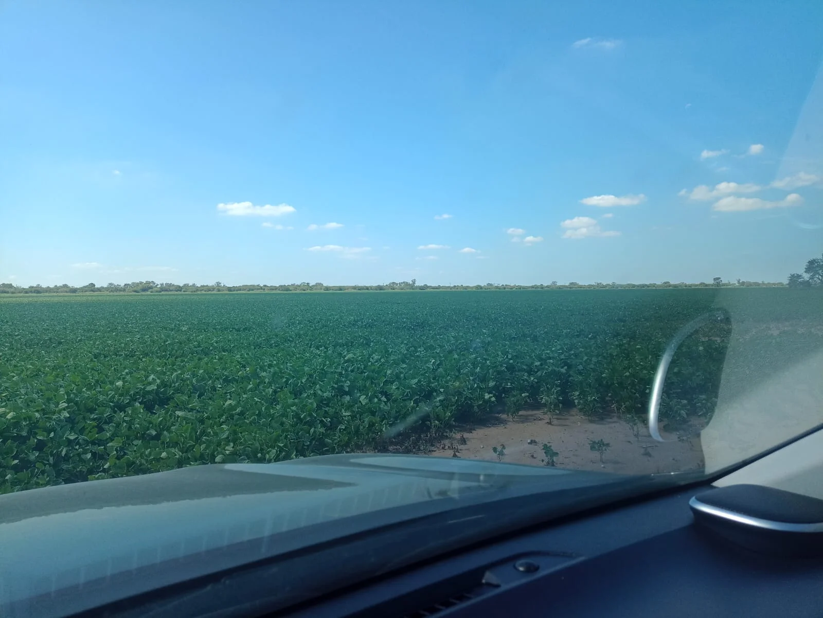 Campo productivo en Puesto de Sánchez con 197ha totales