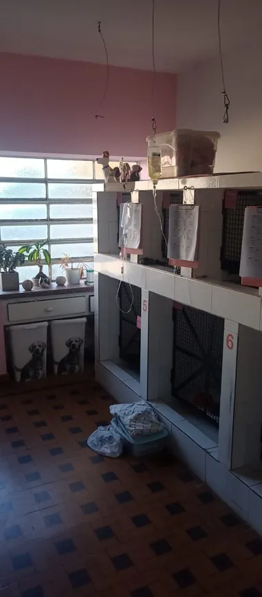 Casa de 3 dormitorios y pario grande en Venta – Avenida Juan B. Justo 1365
