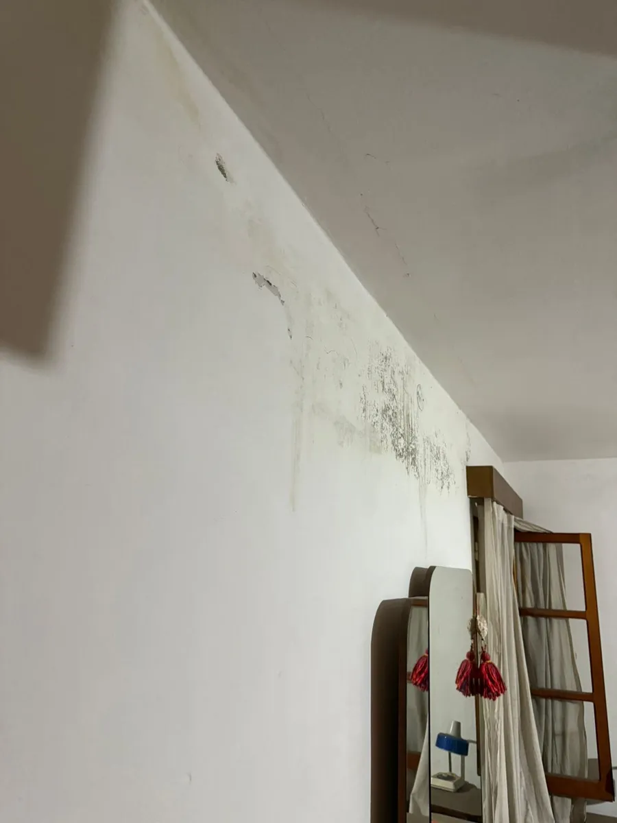 Ruta 9 Sinsacate: Casa con Locales y 938 m2 Terreno